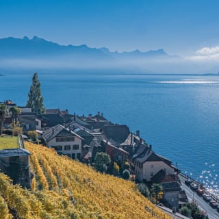 Angeln am Genfer See - Angelvergnügen in der Schweiz oder Frankreich