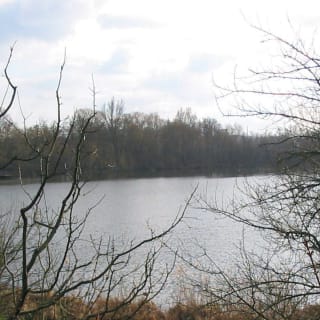 Angeln am Grimkesee