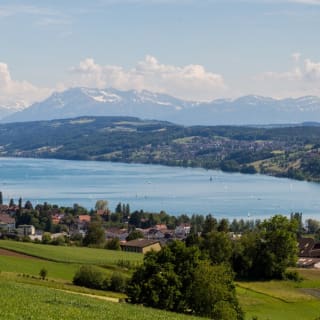 Angeln am Hallwilersee - Bestes Angelvergnügen in der Schweiz