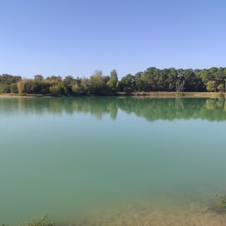 Angeln am Lac Vert in Canejan - Angelseen in Frankreich